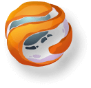 icon orange globe